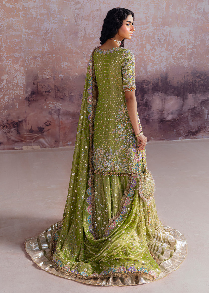 Shadan - Sara Rohale Asghar